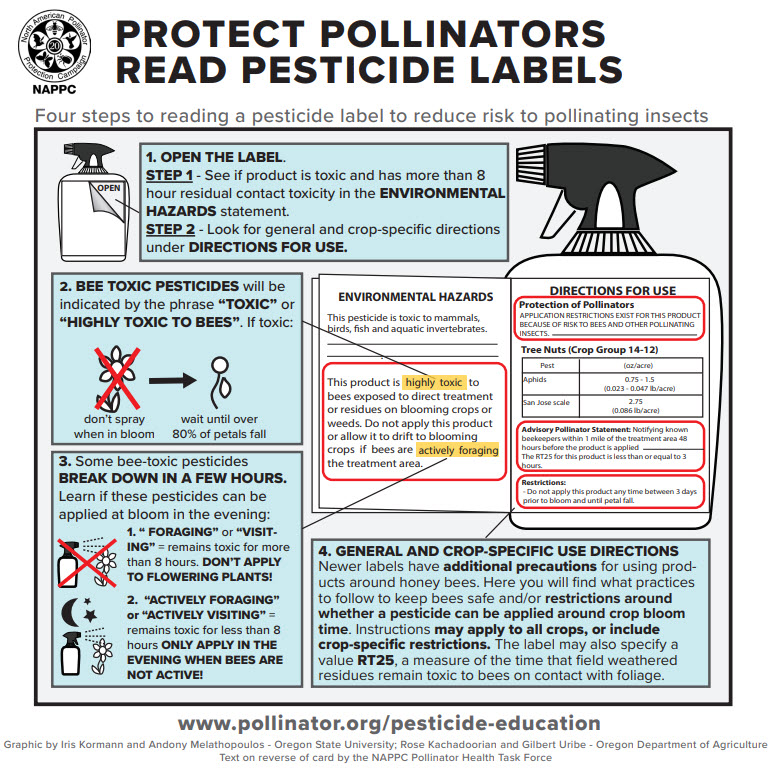 Diagram of a pesticide label and where to find pollinator protection information on the label